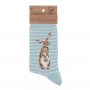 Wrendale Designs socks bamboo socks Green Hare and Bee Sock Heart of the Home Lytham www.potdolly.com SOCK005_a